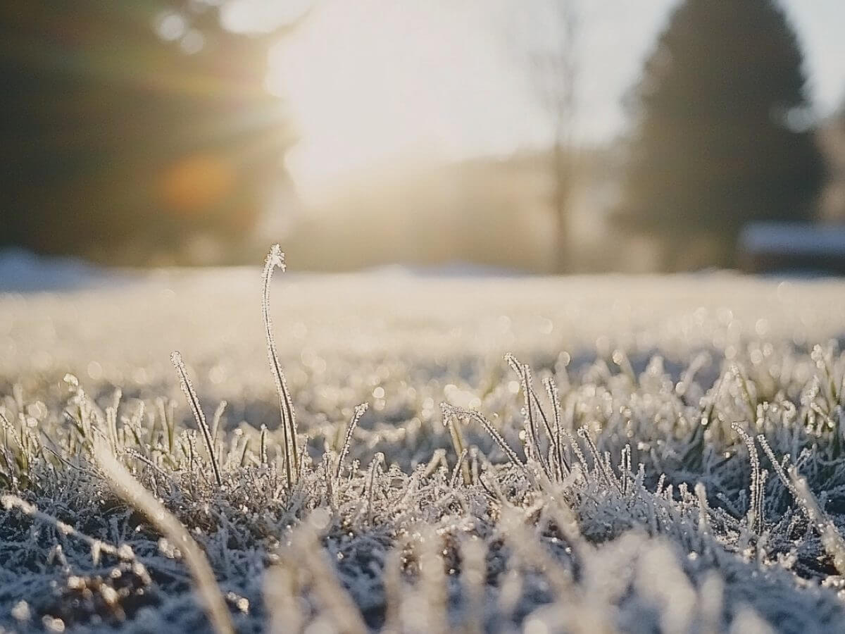 Sunlight gently shining on a snow-covered lawn, showcasing the beauty of winter care.