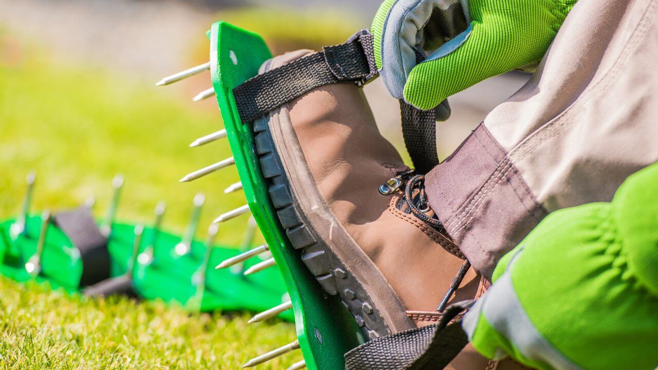 Spike Aeration Shoes