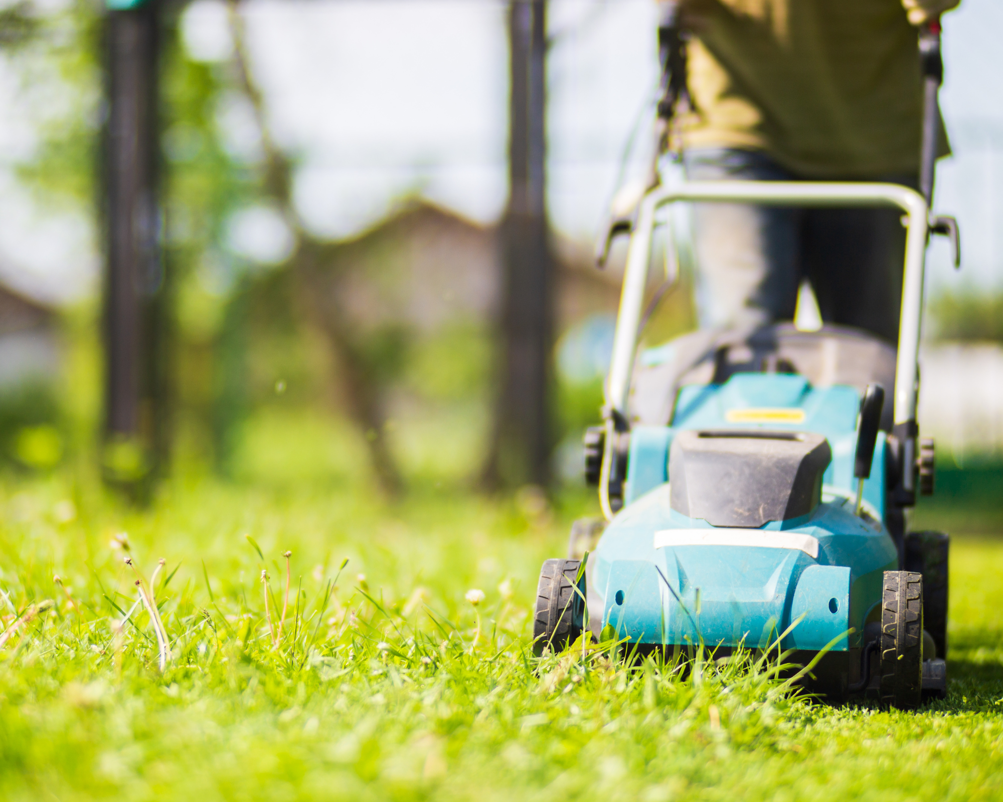 Tasditional Lawn Mowers