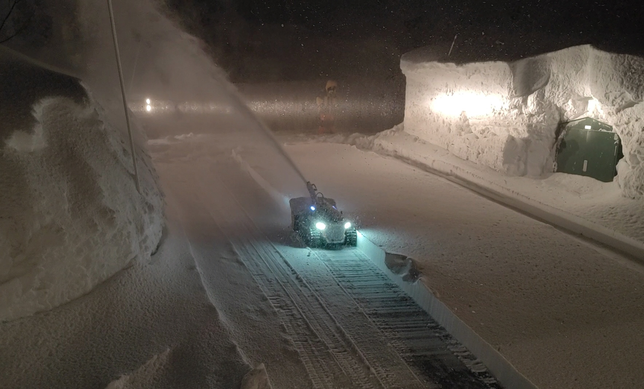 All-season Yard Maintenance