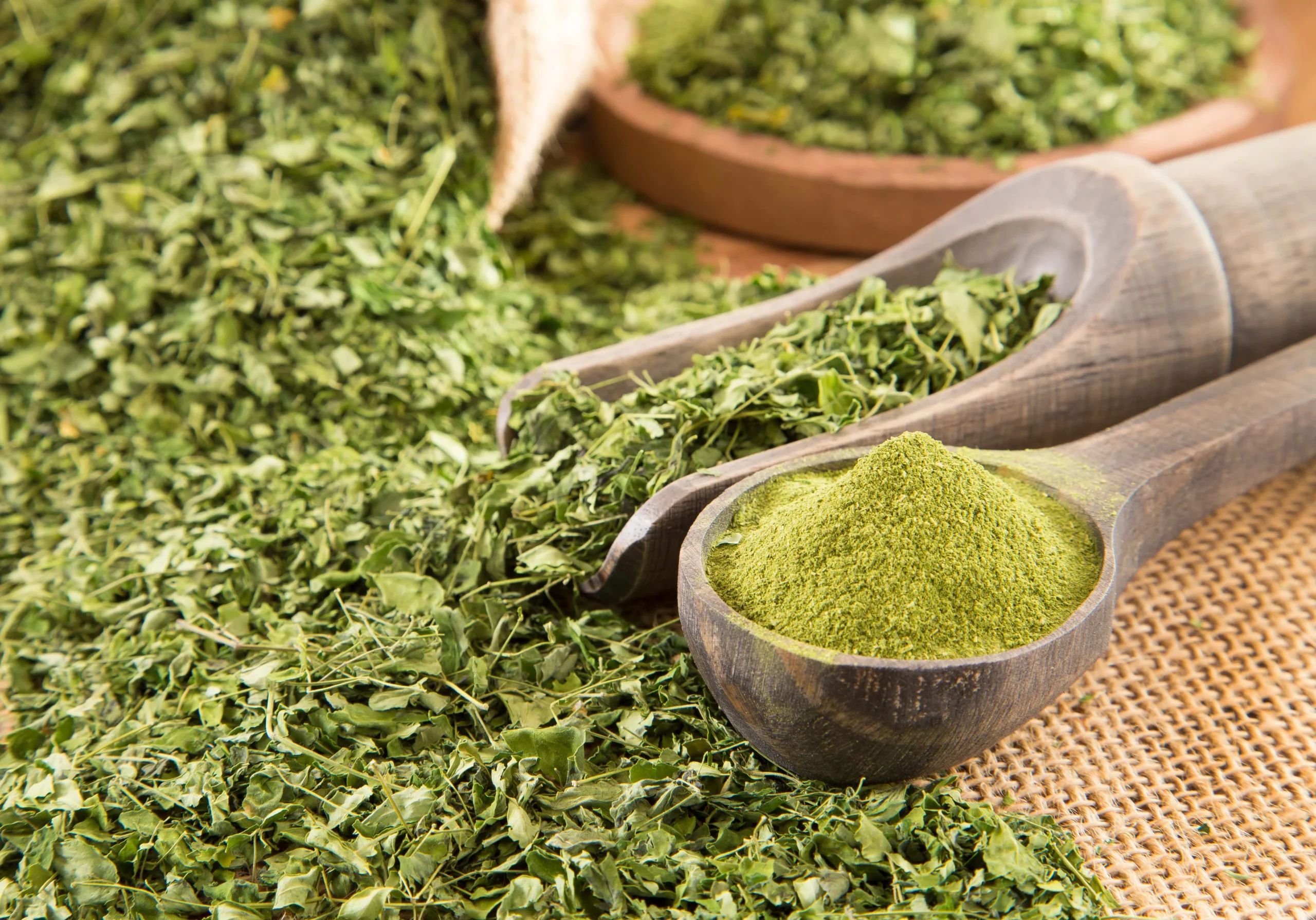 Organic Moringa Leaf Powder from Sri Lanka - Retail and Wholesale Organic  Moringa Leaf Powder Goodfolks.shop -