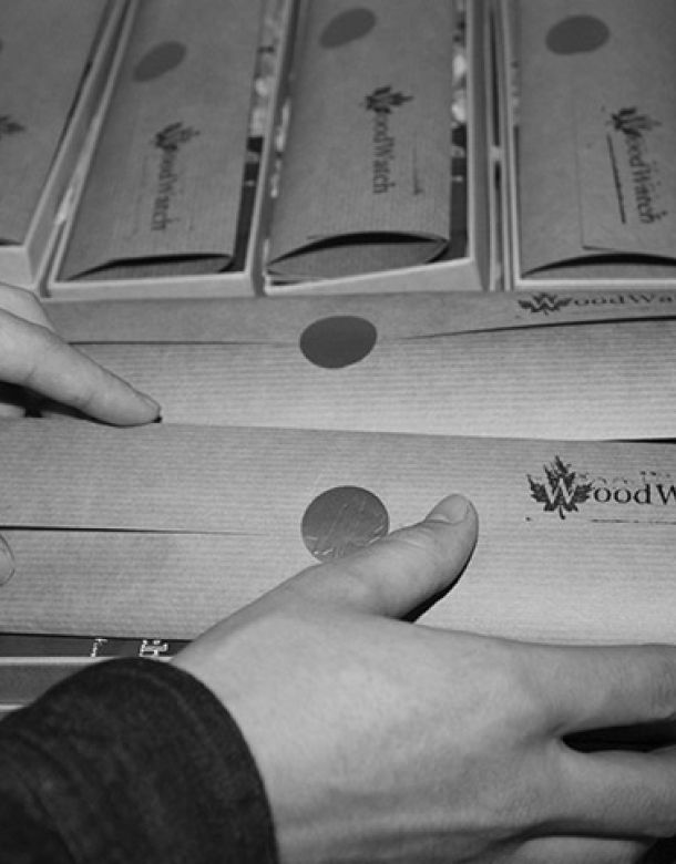 WoodWatch 的故事