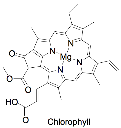 chlorophyll