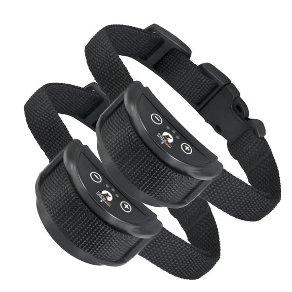 dog collar, canine collars