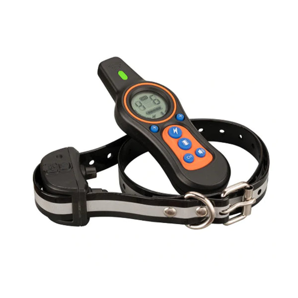 dog collar, canine collars