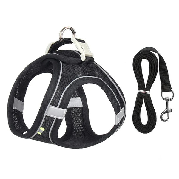 dog collar, canine collars
