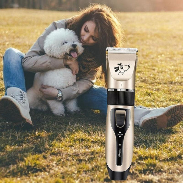 pet grooming