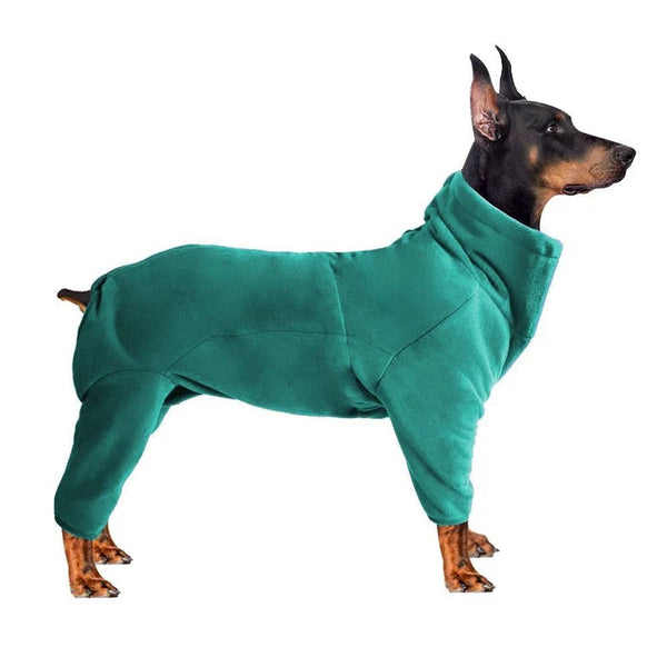 dog collar, dog collars for dogs, canine collars