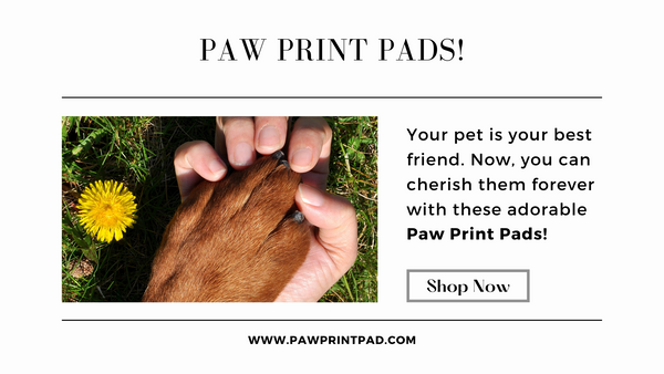 Paw Print Pad