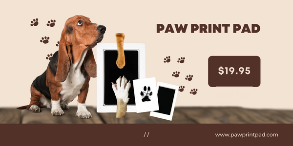 Paw Print Pad