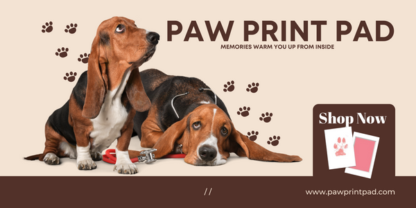 Paw Print pad