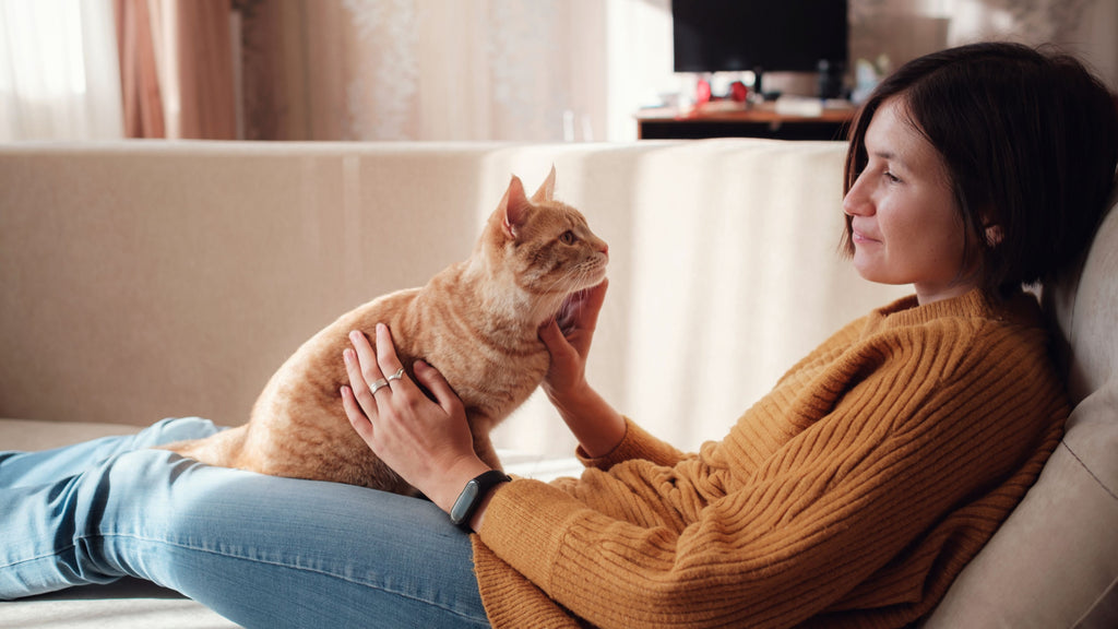 should i give my cat supplements