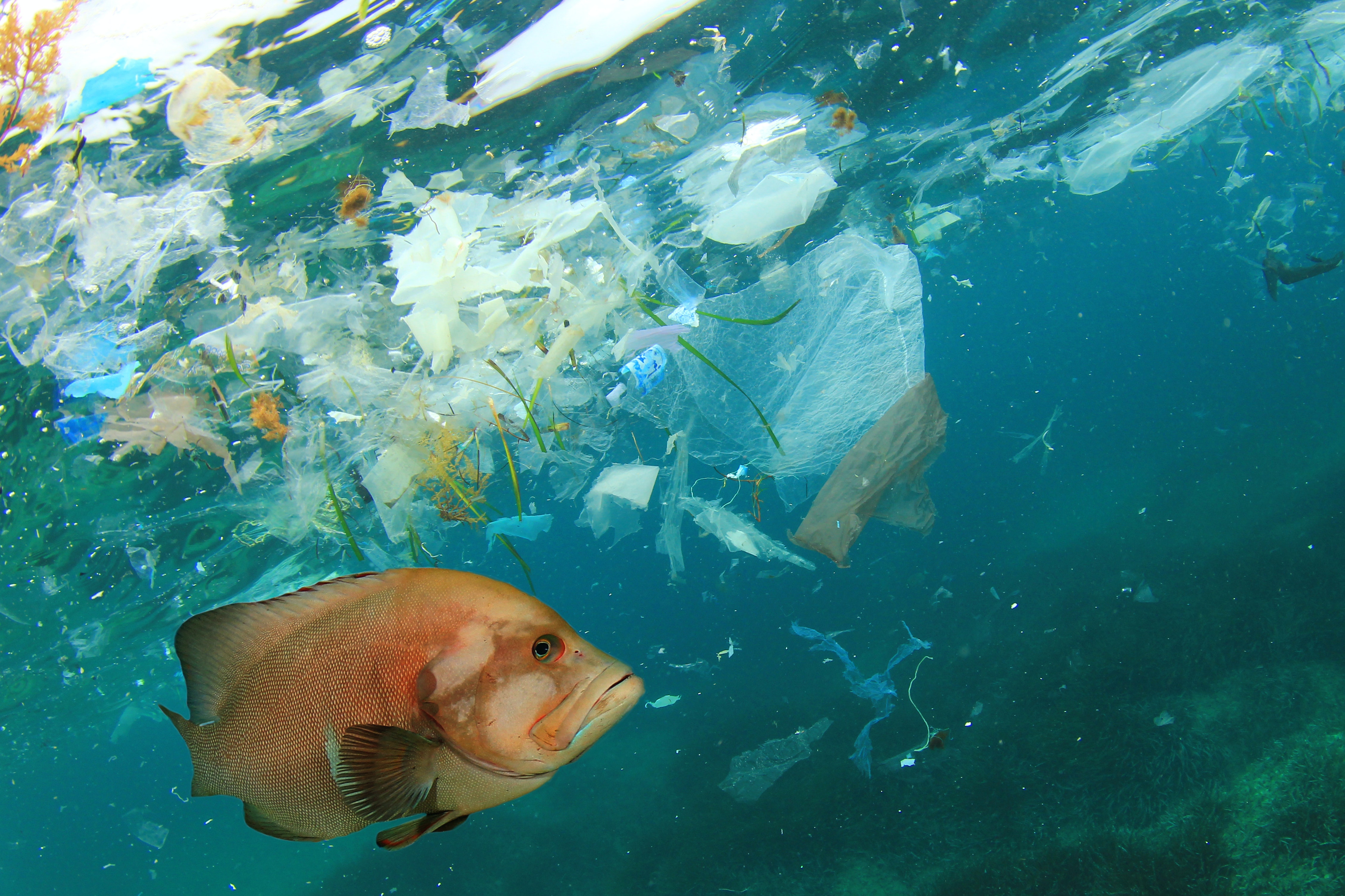 How Earth's plastic pollution problem could look by 2040