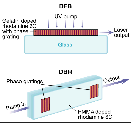 Organic Solid-State Lasers: Past and Future