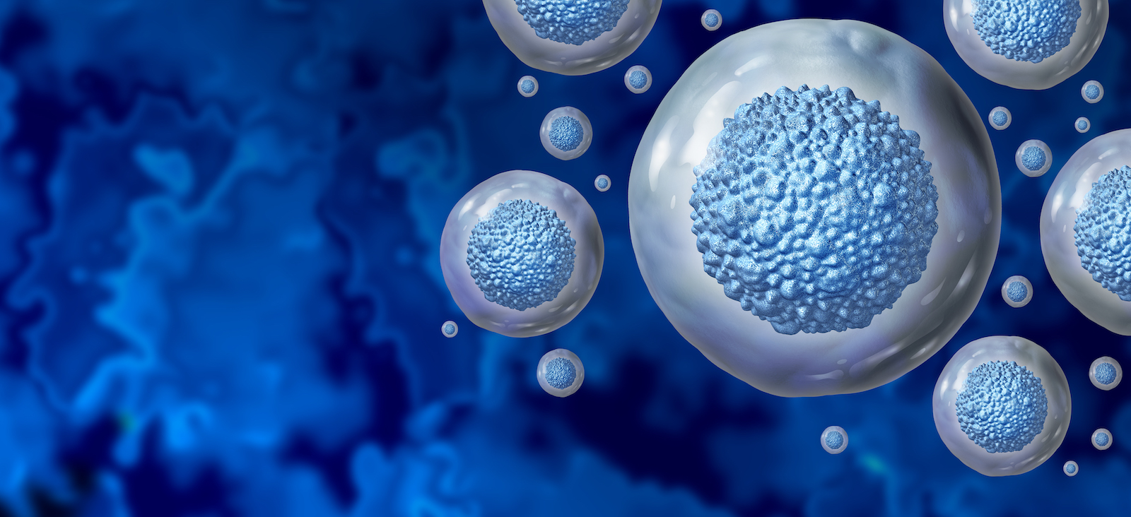 Regenerative Medicine | Conditions & Treatments | UT Southwestern Medical Center