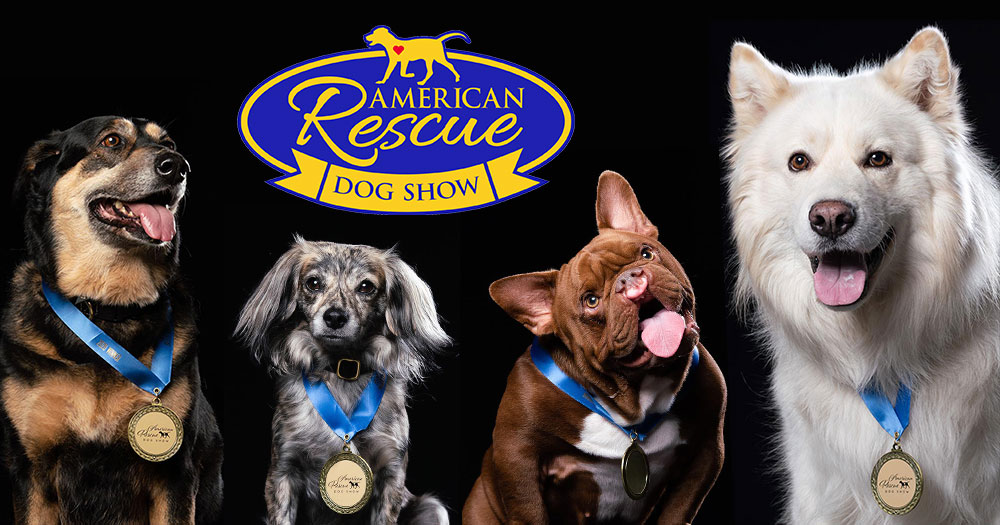 Best in Rescue Dog Show 2023 Celebrating the Triumph of Second Chances