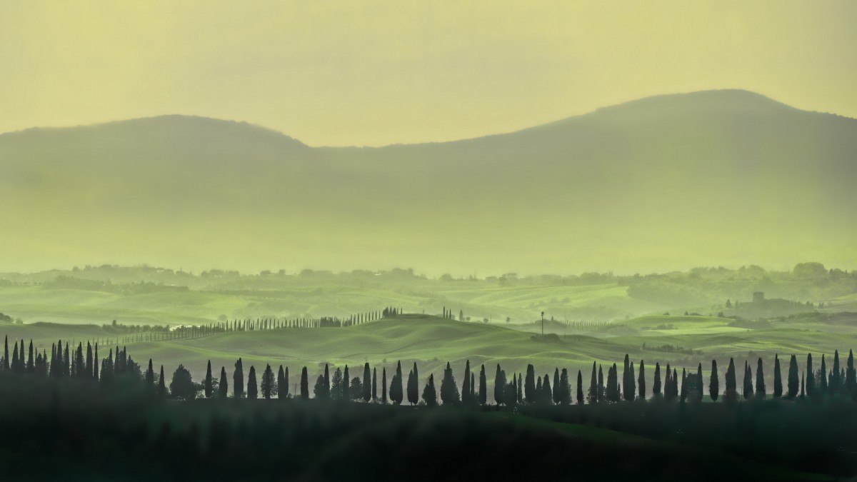 舒服点萨芬honey