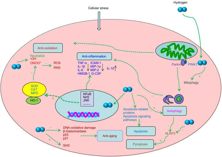 An external file that holds a picture, illustration, etc.
Object name is JZhejiangUnivSciB-23-2-102-g001.jpg