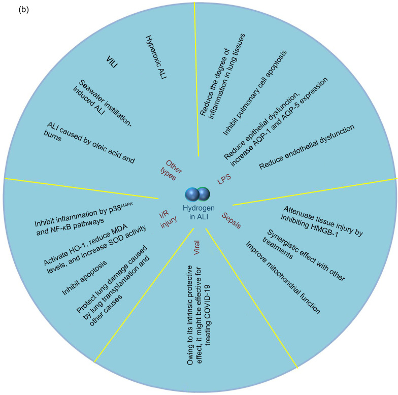 An external file that holds a picture, illustration, etc.
Object name is JZhejiangUnivSciB-23-2-102-g002b.jpg